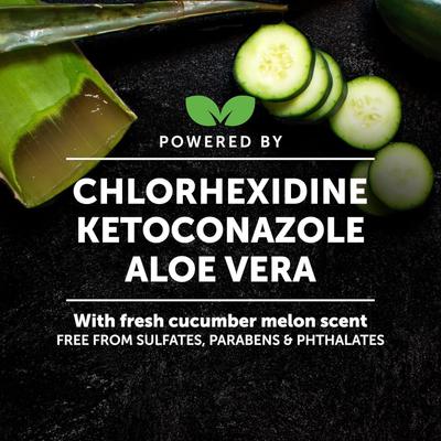 Show full view: Pet Honesty Chlorhexidine Antibacterial Itchy Skin, Allergy Relief & Sensitive Skin Dog Shampoo, 16-fl oz bottle slide 4 of 12