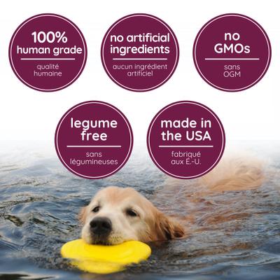 Show full view: Caru Cheddar Cheese Baked Cookie Dog Treats, 4-oz bag slide 5 of 8