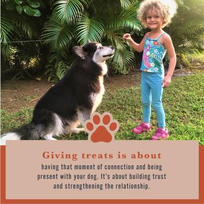 Show full view: Withers & Withers Plant-Based Formula, Vegan Roast Chicken with Organic Turmeric Dog Chews, 6-oz bag, 120 count slide 6 of 10