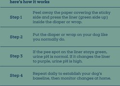 Pet Life Unlimited Dog Diaper Liners, 18 count slide 2 of 9