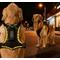 Show in main carousel: MEGAPAWS USB Rechargeable LED Light-Up Dog Harness, Large, Yellow slide 1 of 9