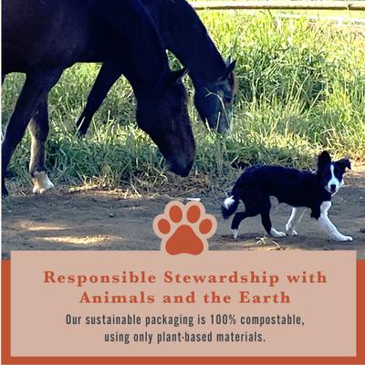 Show full view: Withers & Withers Plant-Based Formula, Vegan Roast Chicken with Organic Turmeric Dog Chews, 6-oz bag, 120 count slide 7 of 10