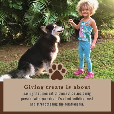 Show full view: Withers & Withers Plant-Based Formula, Vegan Roast Bacon with Organic Spirulina Dog Chews, 6-oz bag, 120 count slide 6 of 10