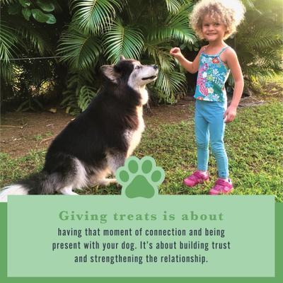 Show full view: Withers & Withers Plant-Based Formula, Vegan Roast Beef with Organic Parsley Dog Chews, 6-oz bag, 120 count slide 6 of 10