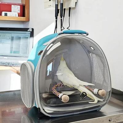 Show full view: Halinfer Clear Space Capsule Bubble Window Cockatiel Backpack Carrier with Standing Perch & Metal Tray, 2-lb bag, Green slide 6 of 7