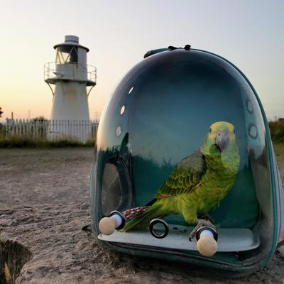 Show full view: Halinfer Clear Space Capsule Bubble Window Conure Backpack Carrier with Standing Perch & Metal Tray, 3-lb bag, Green slide 6 of 7