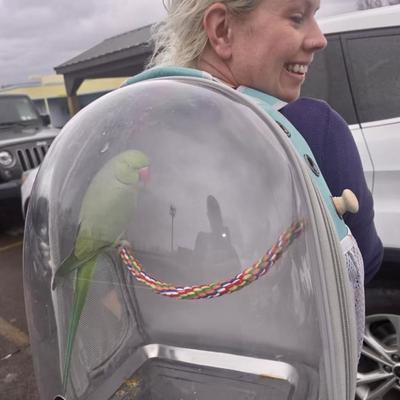 Show full view: Halinfer Clear Space Capsule Bubble Window Conure Backpack Carrier with Standing Perch & Metal Tray, 3-lb bag, Green slide 5 of 7