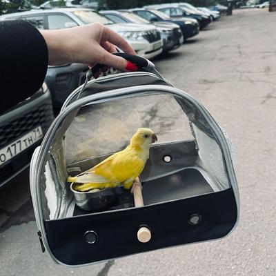 Show full view: Halinfer Portable Bird Travel Carrier Cage, 1-lb bag, Black slide 5 of 7