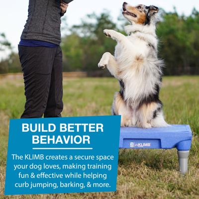 Show full view: Blue-9 Happy Dog Starter Bundle includes KLIMB Training Platform, Traction Mat, Inspire Training Treat Pouch & Training Treats, Blue slide 5 of 8