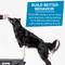 Show in main carousel: Blue-9 Happy Dog Starter Bundle includes KLIMB Training Platform, Traction Mat, Inspire Training Treat Pouch & Training Treats, Black slide 5 of 8