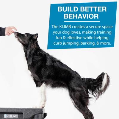 Show full view: Blue-9 Happy Dog Starter Bundle includes KLIMB Training Platform, Traction Mat, Inspire Training Treat Pouch & Training Treats, Black slide 5 of 8