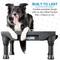 Show in main carousel: Blue-9 Happy Dog Starter Bundle includes KLIMB Training Platform, Traction Mat, Inspire Training Treat Pouch & Training Treats, Black slide 6 of 8