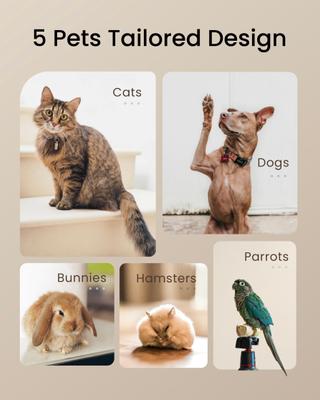 Show full view: Toptrees 7-in-1 All-Rounder Dog Treats Maker with Gift Box, White slide 7 of 11