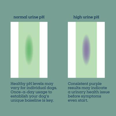 Show full view: Pet Life Unlimited Dog Diaper Liners, 18 count slide 6 of 9