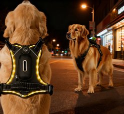 MEGAPAWS USB Rechargeable LED Light-Up Dog Harness, Small
