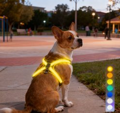 MEGAPAWS No-Pull Dog Harness with 8 Gear Color Changing LED Lights, Small