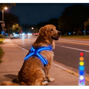 MEGAPAWS No-Pull Dog Harness with 8 Gear Color Changing LED Lights, Large