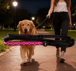 MEGAPAWS Adjustable USB-Rechargeable Dog Leash, Pink