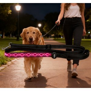 Buckle-Down Marvel Characters Polyester Dog Leash