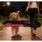 Show in main carousel: MEGAPAWS Adjustable USB-Rechargeable Dog Leash, Pink slide 1 of 11