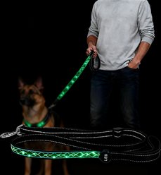 MEGAPAWS Adjustable USB-Rechargeable Dog Leash, Green