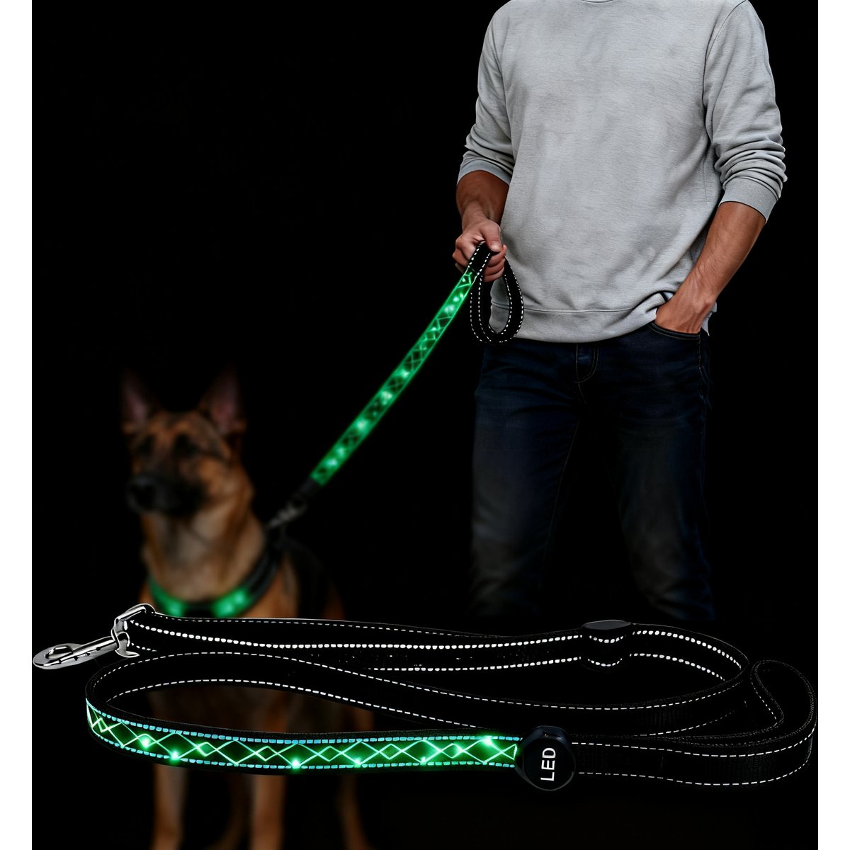 MEGAPAWS Adjustable USB-Rechargeable Dog Leash, Green