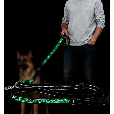MEGAPAWS MEGAPAWS Adjustable USB-Rechargeable Dog Leash, Green