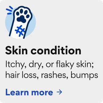 Skin problems - itchy, dry, or flaky skin; rashes bumps. Learn more.