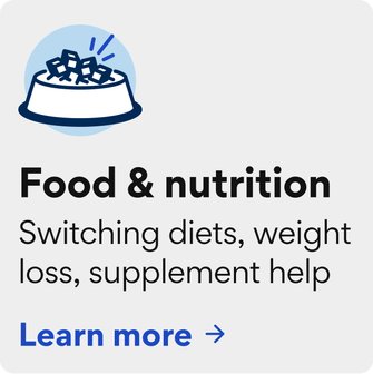 Food & nutrition - food, supplements, weight loss. Learn more.