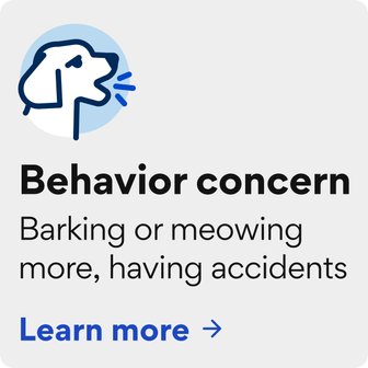 Behavior - barking/meowing more, signs of anxiety. Learn more.