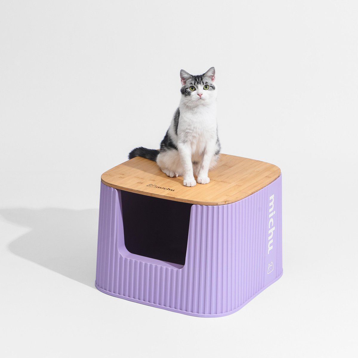 Michu Container Cat Litter Box with Scoop & Lid, XX-Large: 23-lb box, Stella