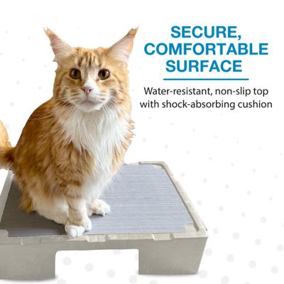 Show full view: Blue-9 KLIMB Jr. Professionally Designed Dog Training Platform & Manners Video Tutorial, Tan slide 5 of 8