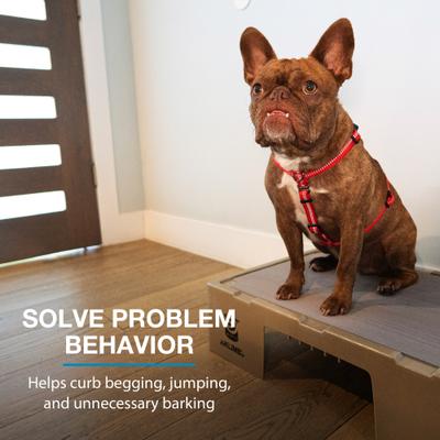 Show full view: Blue-9 KLIMB Jr. Professionally Designed Dog Training Platform & Manners Video Tutorial, Tan slide 4 of 8