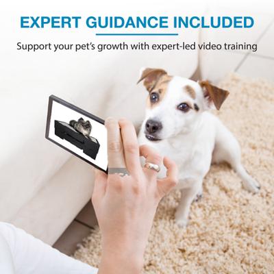 Show full view: Blue-9 KLIMB Jr. Professionally Designed Dog Training Platform & Manners Video Tutorial, Blue slide 7 of 8
