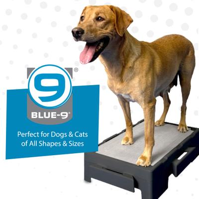 Show full view: Blue-9 KLIMB Jr. Professionally Designed Dog Training Platform & Manners Video Tutorial, Blue slide 8 of 8