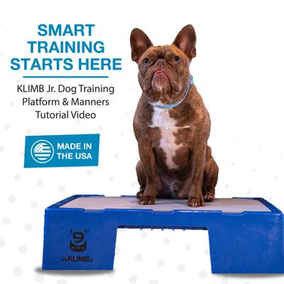 Show full view: Blue-9 KLIMB Jr. Professionally Designed Dog Training Platform & Manners Video Tutorial, Blue slide 2 of 8
