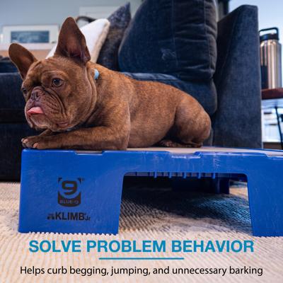 Show full view: Blue-9 KLIMB Jr. Professionally Designed Dog Training Platform & Manners Video Tutorial, Blue slide 4 of 8