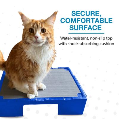 Show full view: Blue-9 KLIMB Jr. Professionally Designed Dog Training Platform & Manners Video Tutorial, Blue slide 5 of 8