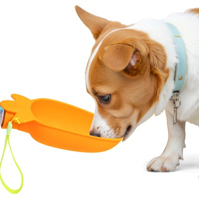 Li & Zhao Li & Zhao Portable Outdoor Travel Carrot Shaped Water Dispenser Plastic Dog & Cat Bowl, Orange, Medium