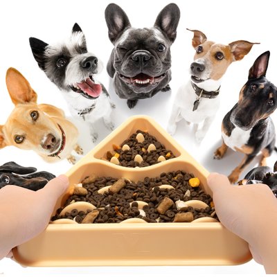 Li & Zhao Li & Zhao Puzzle Plastic Slow Feeder Dog & Cat Bowl, Large, Yellow