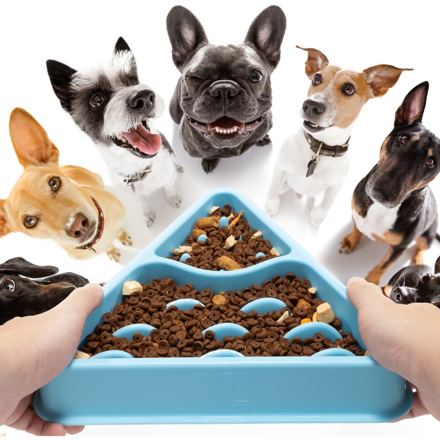 Li & Zhao Puzzle Plastic Slow Feeder Dog & Cat Bowl, Large, Blue