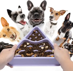 Li & Zhao Puzzle Plastic Slow Feeder Dog & Cat Bowl, Large, Purple