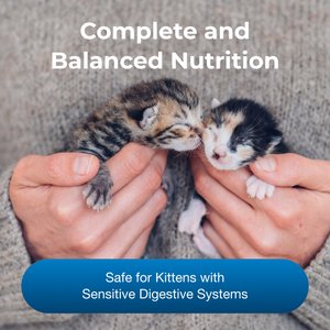 PetAg Goat's Milk KMR Kitten Milk Replacer Liquid for Kittens, 16-fl oz