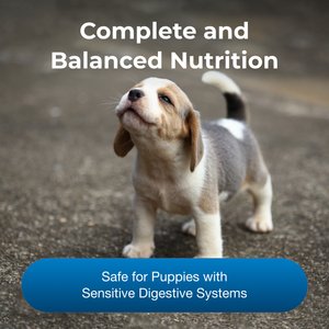PetAg Goat's Milk Esbilac Puppy Milk Replacer Liquid for Puppies, 16-fl oz can
