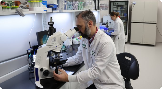 Nutramax Denamarin with S-Adenosylmethionine & Silybin Chewable Tablets Liver Supplement for Dogs