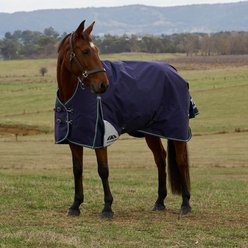 WeatherBeeta ComFiTec Plus Dynamic High Neck 220G Horse Turnout, Navy/Forest Green, 84-in