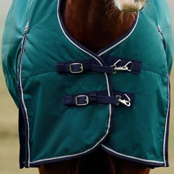 WeatherBeeta ComFiTec Plus Dynamic High Neck 220G Horse Turnout, Forest Green/Navy, 72-in slide 2 of 6