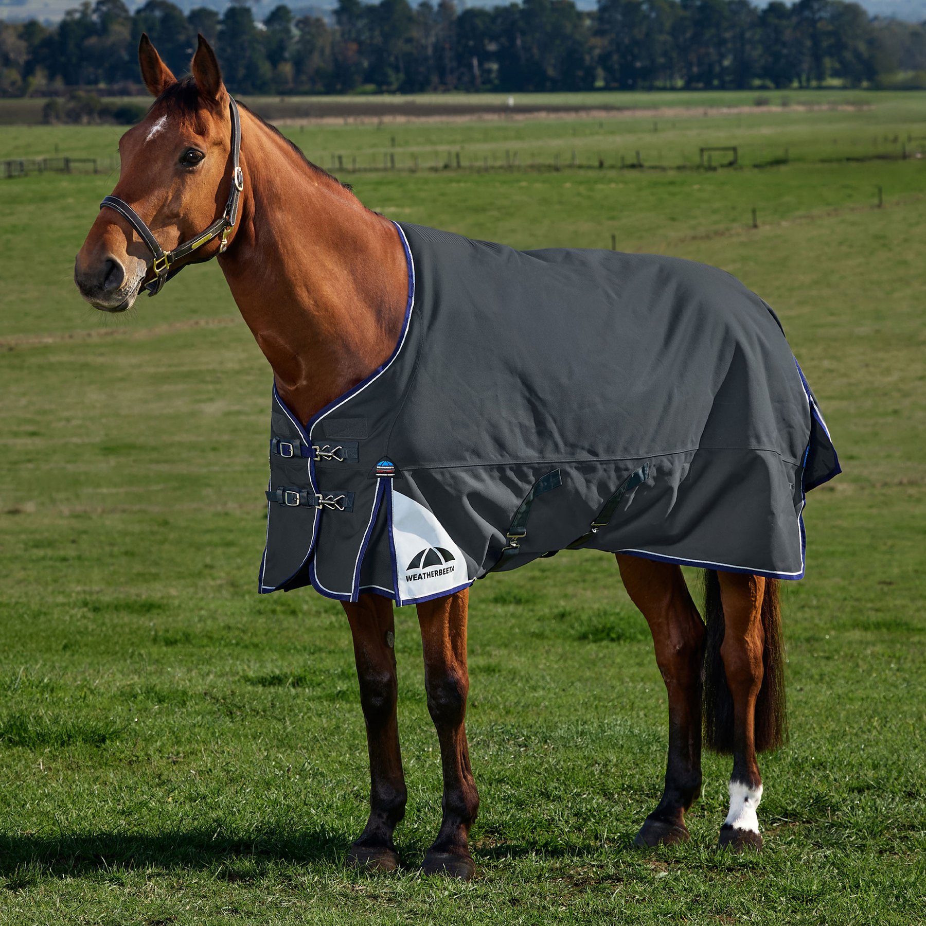 WeatherBeeta ComFiTec Ultra Standard Neck 220G Horse Turnout, Charcoal, 69-in