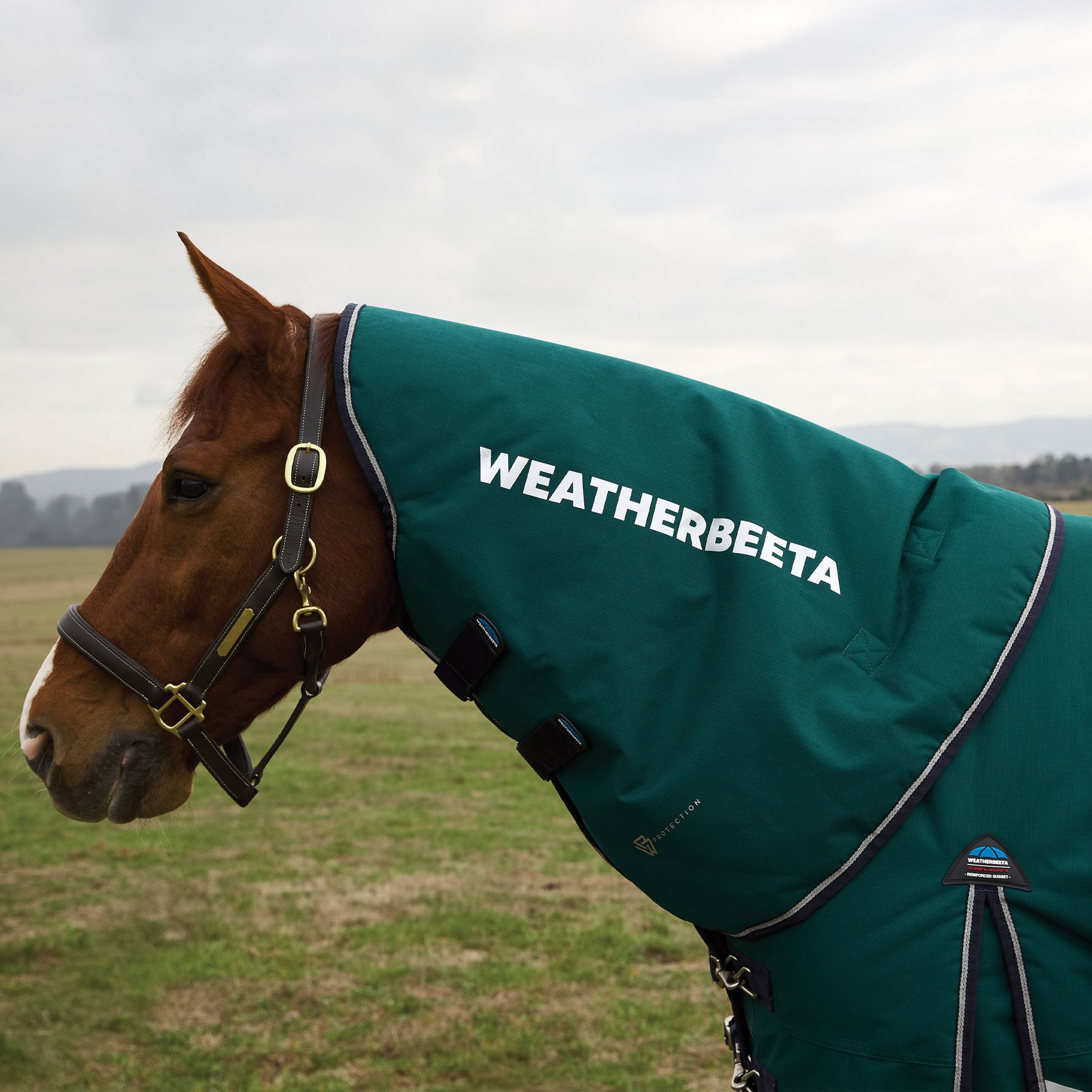 WeatherBeeta ComFiTec Plus Dynamic Neck Cover 0G Horse Turnout, Forest Green/Navy, Medium