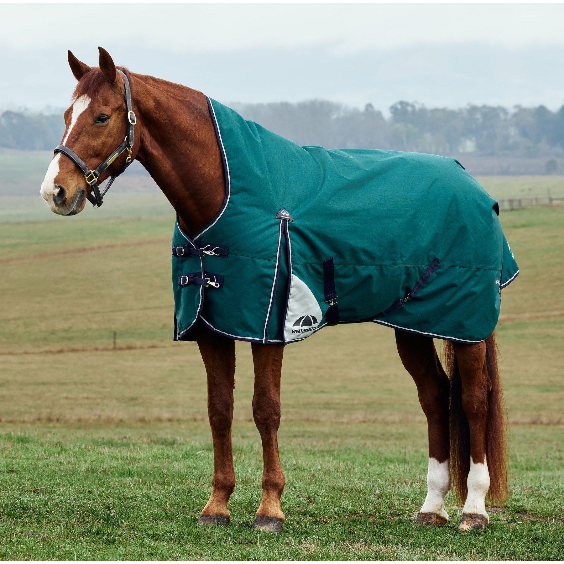 WeatherBeeta ComFiTec Plus Dynamic High Neck 220G Horse Turnout, Forest Green/Navy, 81-in